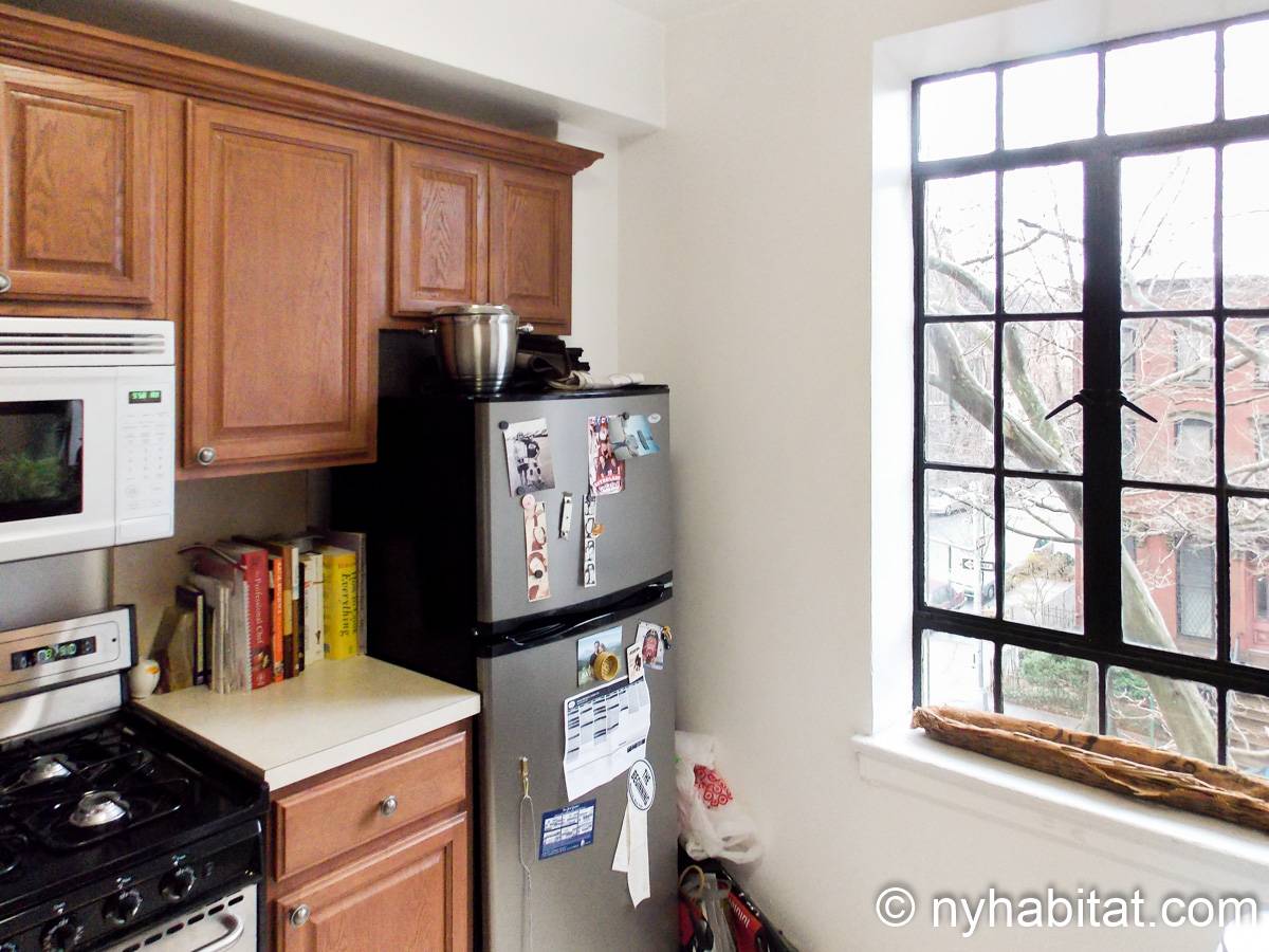 New York Apartment 1 Bedroom Apartment Rental in Fort Greene (NY15651)