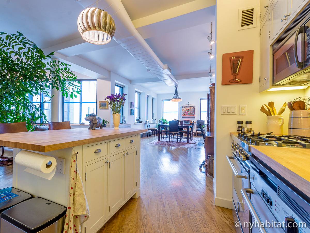 New York Apartment 1 Bedroom Loft Apartment Rental in Tribeca (NY15771)