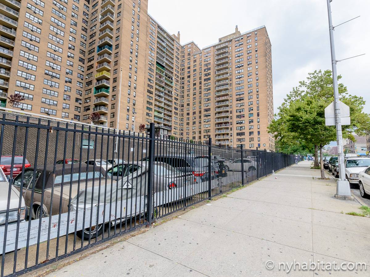 New York Roommate Room for rent in Crown Heights 3 Bedroom apartment