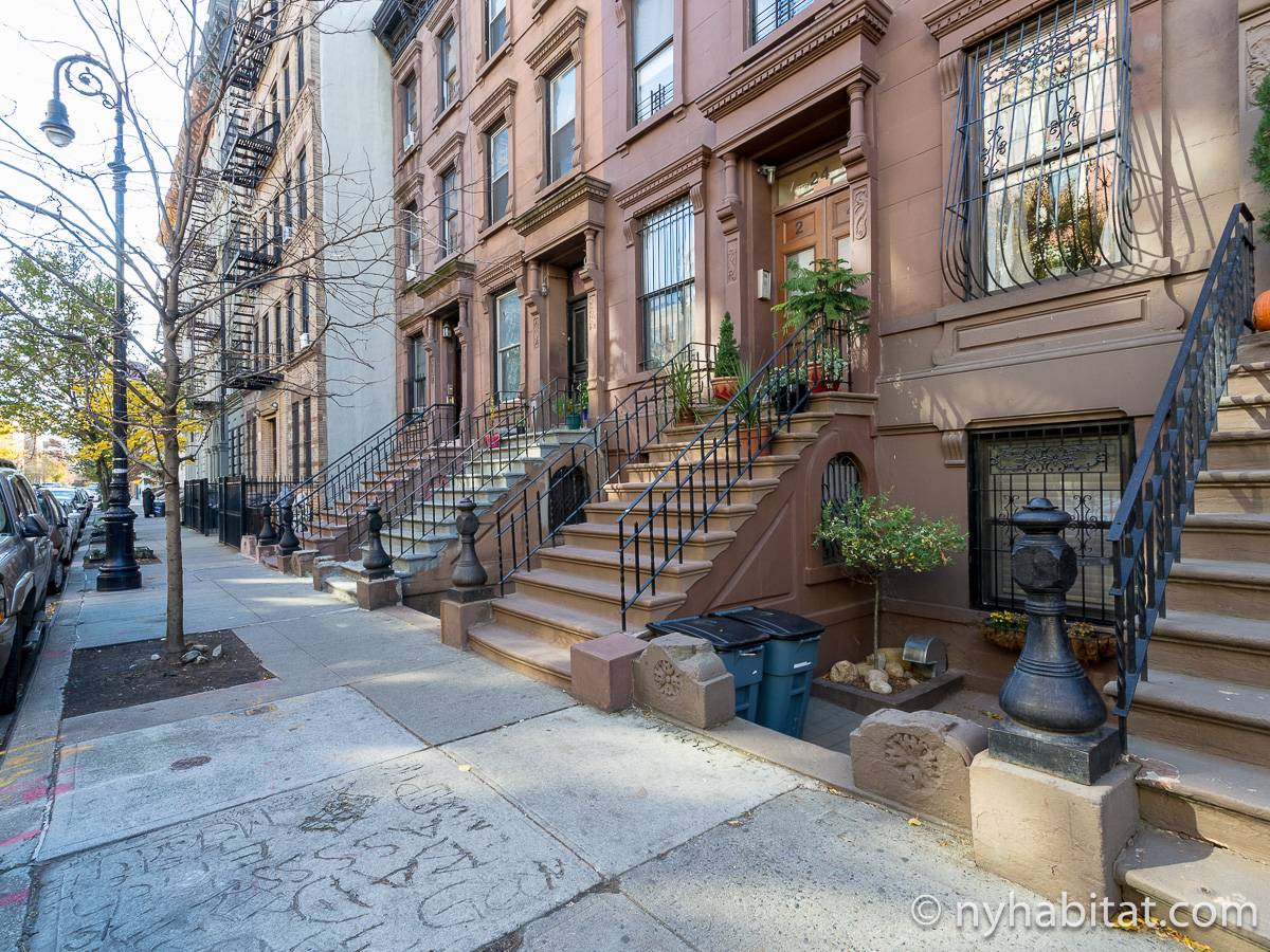 New York Apartment 1 Bedroom Apartment Rental in Harlem (NY16062)