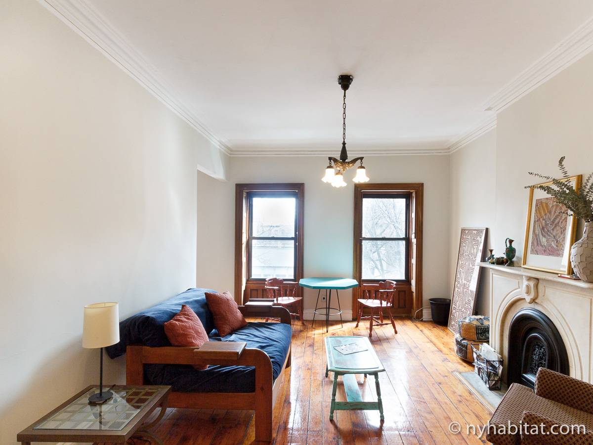 New York Apartment 1 Bedroom Apartment Rental in Clinton Hill (NY16162)