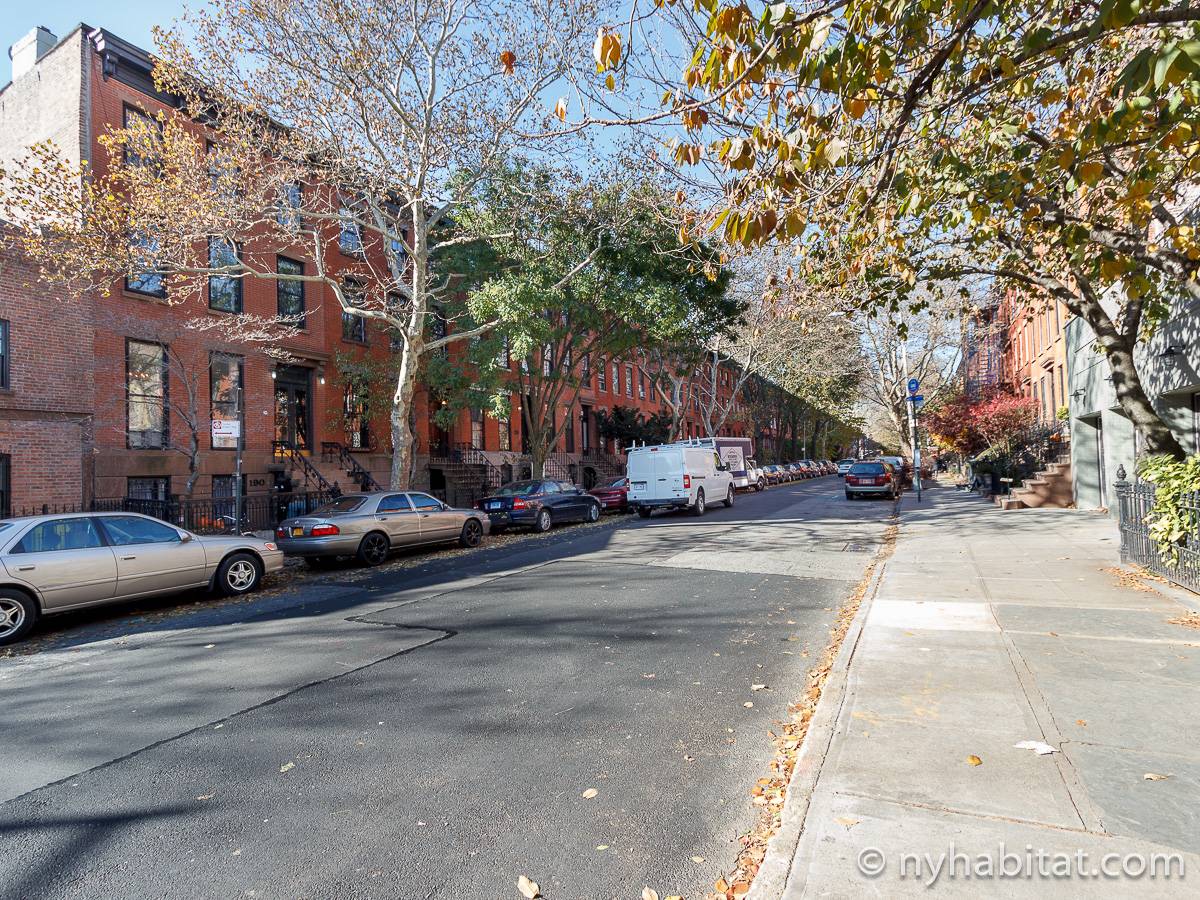 New York 1 Bedroom Apartment Rental in Boerum Hill (NY