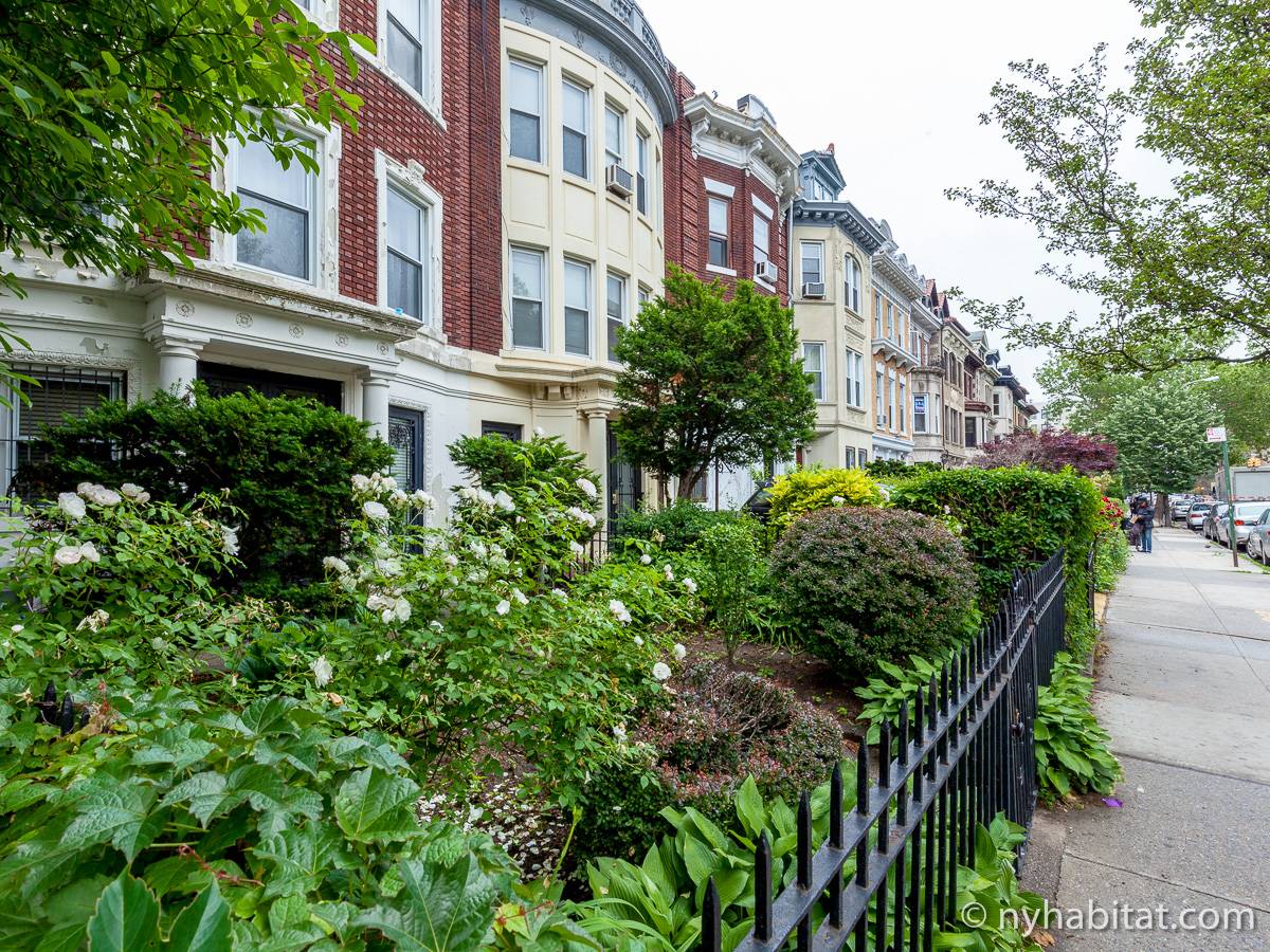 New York 2 Bedroom Duplex Apartment Rental in Brooklyn