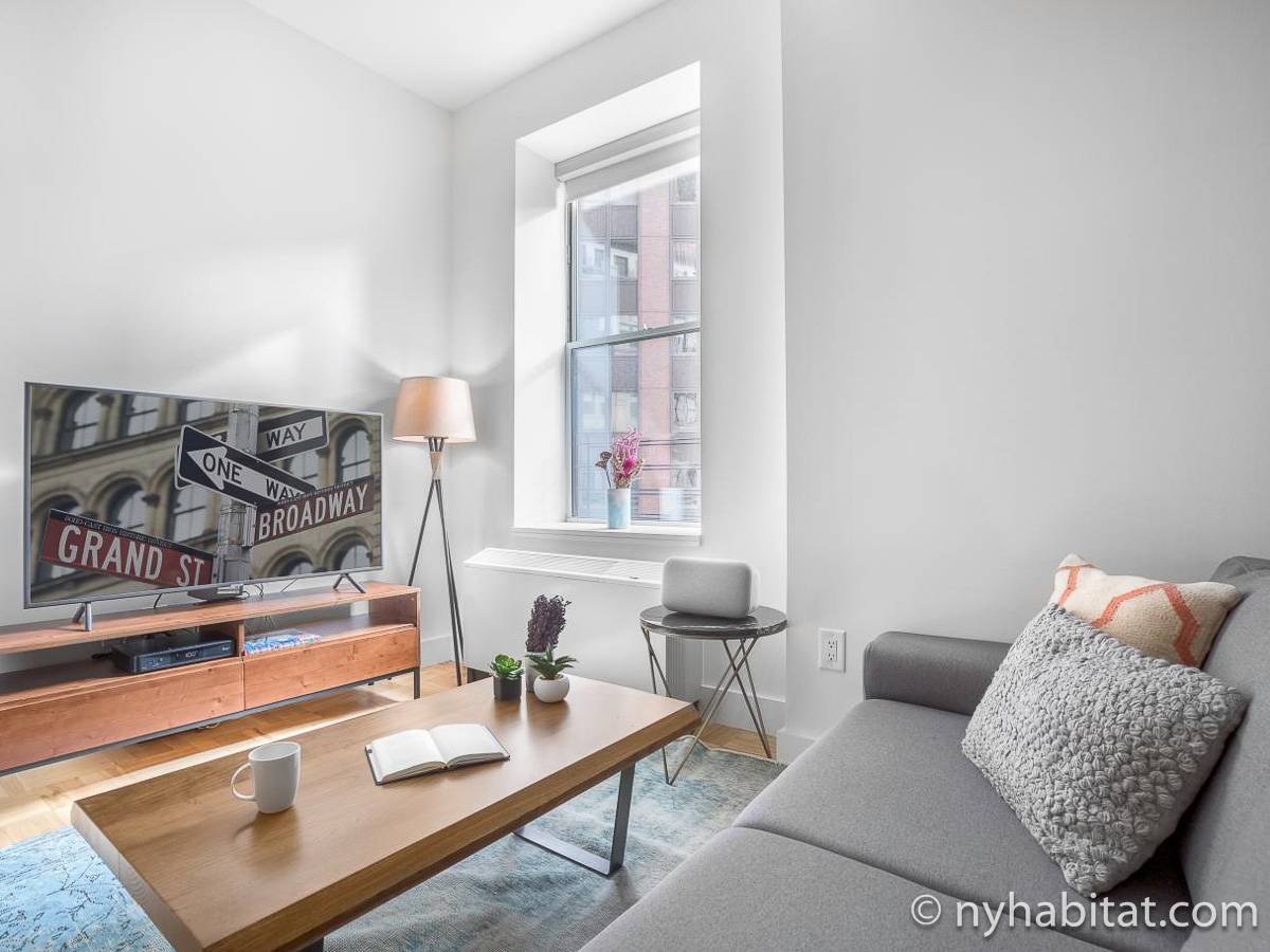 New York - 1 Camera da letto appartamento - Appartamento riferimento NY-17750