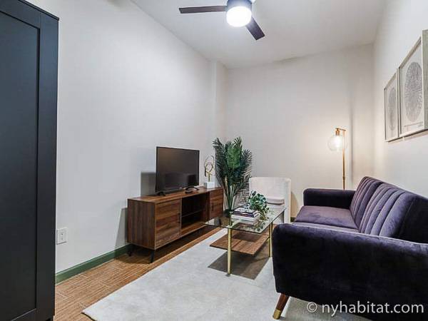 New York - 3 Bedroom roommate share apartment - Apartment reference NY-18144