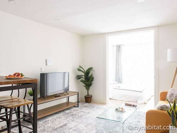 New York - 3 Bedroom apartment - Apartment reference NY-18319