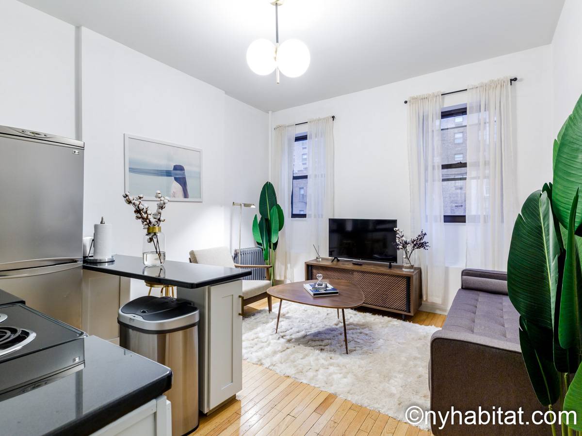 New York - 1 Bedroom apartment - Apartment reference NY-18618