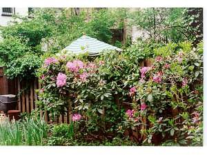 New York T3 appartement bed breakfast - autre (NY-2258) photo 2 sur 4