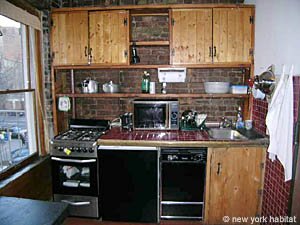 Nueva York 1 Dormitorio apartamento cocina photo 14