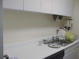 New York 1 Bedroom apartment - kitchen (NY-2895) photo 1 of 3