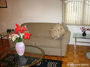 New York 1 Bedroom apartment - living room (NY-2895) photo 2 of 5