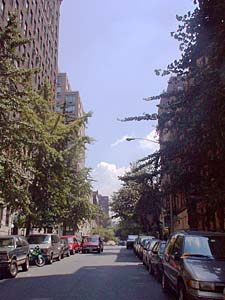 New York 1 Camera appartamento da dividere - Appartamento riferimento NY-3170