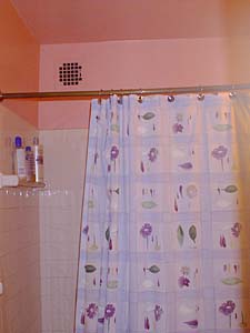 New York 1 Camera appartamento da dividere - bagno (NY-3170) photo 2 di 3