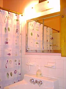 New York 1 Camera appartamento da dividere - bagno (NY-3170) photo 3 di 3