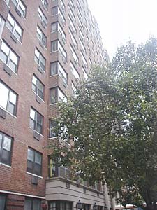 New York 2 Bedroom apartment - other (NY-3258) photo 3 of 4