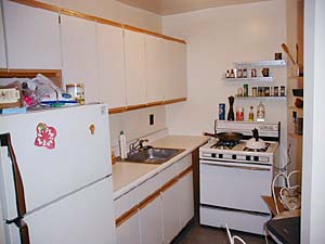 New York 1 Bedroom apartment kitchen photo 10