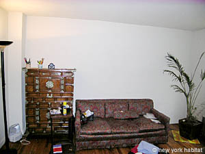 New York 1 Bedroom apartment living room photo 15