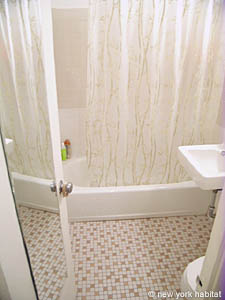 New York 1 Bedroom apartment bathroom photo 22