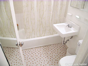 New York 1 Bedroom apartment bathroom photo 23