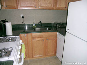 New York T3 logements location appartements - cuisine (NY-4596) photo 2 de 2