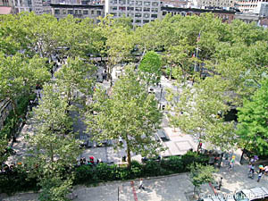 New York T3 logements location appartements - autre (NY-4596) photo 3 de 3
