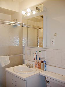 New York T4 appartements colocation salle d'eau 1 photo 29