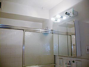 New York T4 appartements colocation salle d'eau 1 photo 30