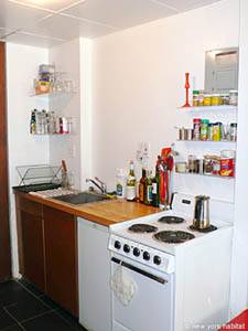 New York Studio/T1 appartements location vacances - cuisine (NY-4667) photo 1 de 2
