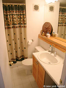 New York 2 Bedrooms - Loft roommate share apartment bathroom 1 photo 17
