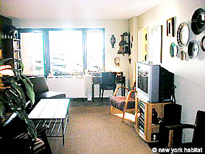 New York Studio accommodation - living room (NY-4867) photo 4 of 7
