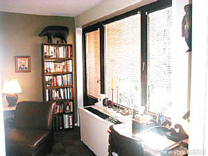 New York Studio accommodation - living room (NY-4867) photo 7 of 7