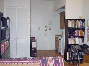 New York Studio apartment living room photo 6