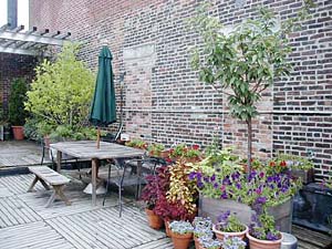 New York T5 - Duplex - Maison citadine appartements location vacances - autre (NY-5448) photo 6 de 10