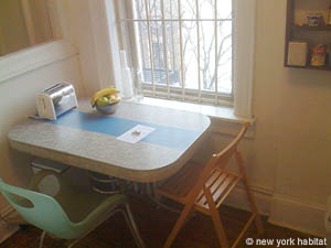 New York 1 Bedroom apartment kitchen photo 11