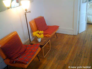 New York 1 Bedroom apartment living room photo 14