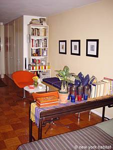 New York Studio accommodation living room photo 19