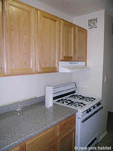 New York T3 appartements colocation - cuisine (NY-5525) photo 3 de 3