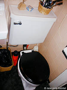 New York Studio/T1 appartements location vacances - cuisine (NY-5884) photo 4 de 4