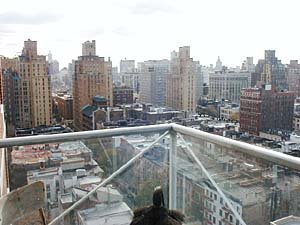 New York 1 Bedroom accommodation other photo 2