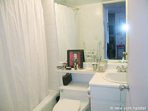 New York 1 Bedroom accommodation bathroom photo 13