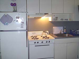 New York 3 Bedroom roommate share apartment - kitchen (NY-6348) photo 2 of 4