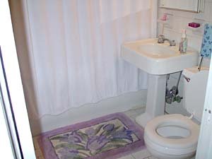 New York 3 Bedroom roommate share apartment - bathroom 1 (NY-6348) photo 2 of 2