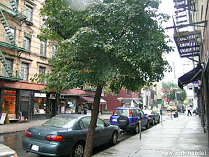 New York 2 Camere affitto bed breakfast - altro (NY-6428) photo 3 di 3