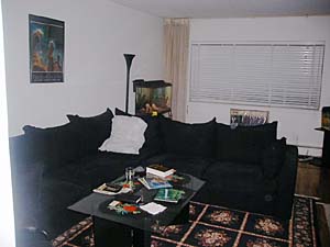 New York 2 Bedroom roommate share apartment - living room (NY-6767) photo 1 of 6