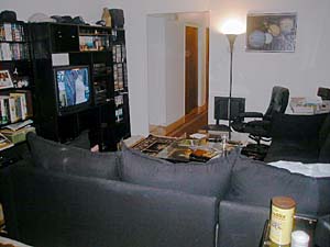New York 2 Bedroom roommate share apartment - living room (NY-6767) photo 2 of 6