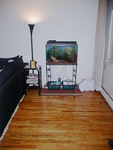 New York 2 Bedroom roommate share apartment - living room (NY-6767) photo 4 of 6