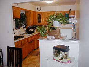 New York 2 Bedroom roommate share apartment - kitchen (NY-6767) photo 1 of 4
