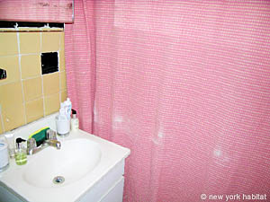 New York 1 Camera appartamento casa vacanze - bagno (NY-6853) photo 3 di 3