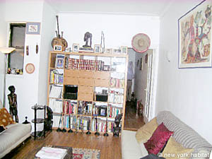 New York 1 Camera appartamento casa vacanze - soggiorno (NY-6853) photo 1 di 5