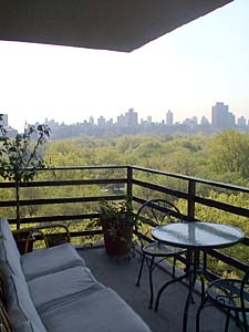 New York 1 Bedroom apartment - other (NY-7030) photo 1 of 7